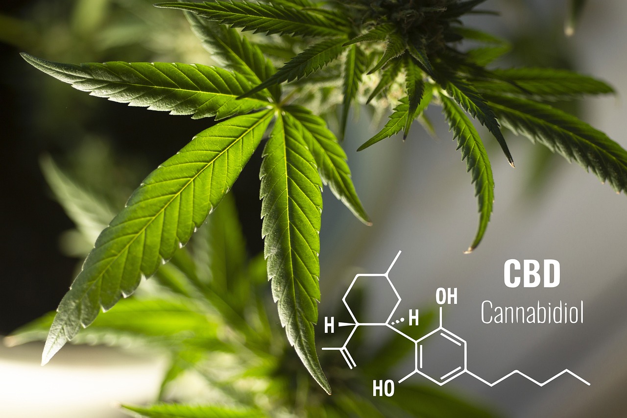 Unveiling the Health Benefits of CBD from Hemp